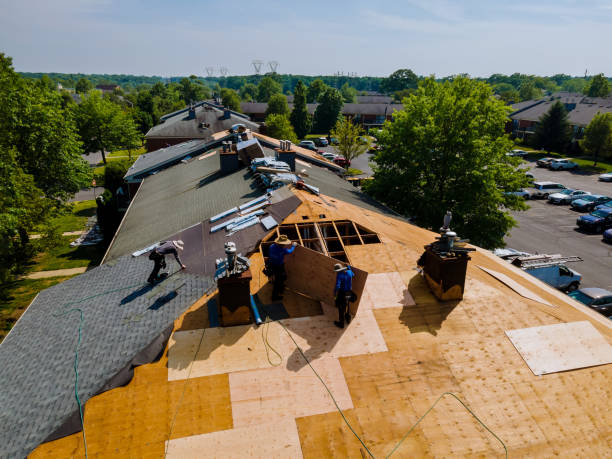 Best Storm Damage Roof Repair  in Hideo, UT